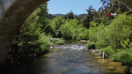 Sındırgı'da ormanlar yangın riskine karşı temizlendi