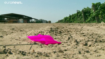 شاهد: "ساحر المياه" الأمريكي الذي يساعد مزارعي كاليفورنيا في ظل الجفاف