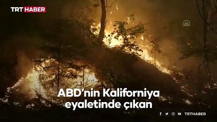 Kaliforniya'daki orman yangını yeniden büyümeye başladı