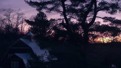 Lisey’s Story — Deep Dive- Jim Dooley’s Derangement | Apple TV+