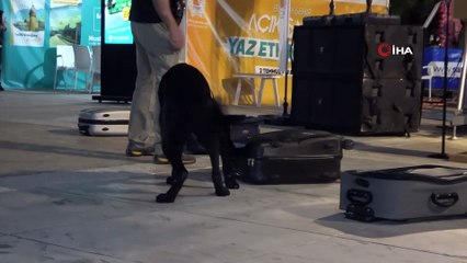 Narkotik köpeği ‘Tony’ uyuşturucu dolu bavulu buldu