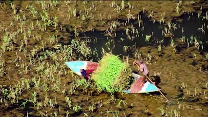 ...مقارنة الآن يمكن أن يعتقد المرء ان مقدار...