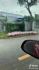 [Đời sống xã hội,Bản tin Long An,TP Hồ Chí Minh] 80832