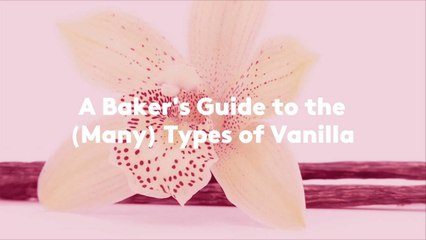 Ultimate Baker's Guide to Vanilla: Types, Uses & Substitutions 🍰