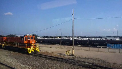 Trinity Railway Express comes to an abrupt stop while Approaching Dallas Texas