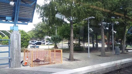 DART Light Rail Blue line SMU Mockingbird to Garland Texas