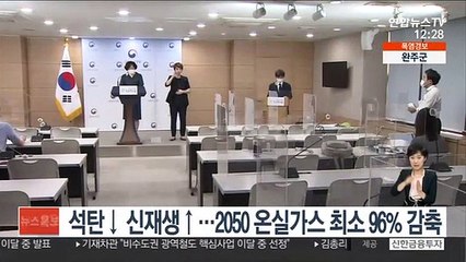 석탄 줄이고 신재생 늘리고…2050 온실가스 최소 96%↓