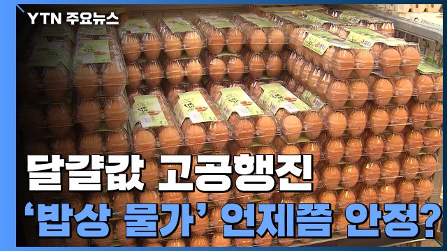 [더뉴스-더인터뷰] 달걀값 6개월째 고공행진...장바구니 물가 언제쯤 안정? / YTN