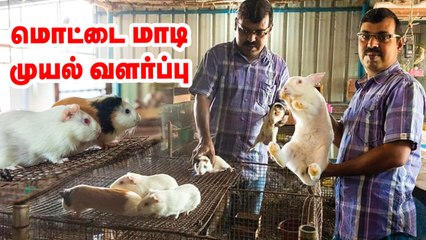 70 முயல்கள்... மாதம் ரூ.30,000 - மொட்டை மாடியில் முயல் வளர்ப்பு!