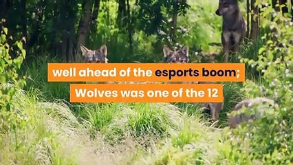 Evil Geniuses With Wolves Esports Pioneer Valued At $255 Million After