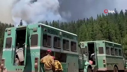California'da 3 haftadır devam eden orman yangını tekrar büyümeye başladı