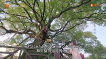 Tôi Và Chúng Ta Ở Bên Nhau Tập 31 Full VietSub - Phim Hoa Ngữ