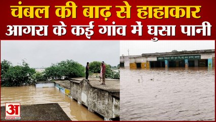 बाढ़ ने किया बेघर... टीलों पर बसेरा: चंबल नदी के रौद्र रूप से हाहाकार, आगरा के बाह में ऐसे हैं हालात