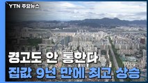 수도권 아파트값 역대 최고 상승...'고점 경고' 안 통했다 / YTN
