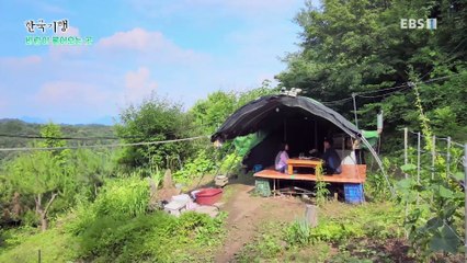 한국기행 - Korea travel_바람이 불어오는 곳 4부- 바람처럼 가볍게_#002
