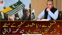 Unfortunately, the world is not paying attention to the issue of occupied Kashmir: Shah Mehmood Qureshi