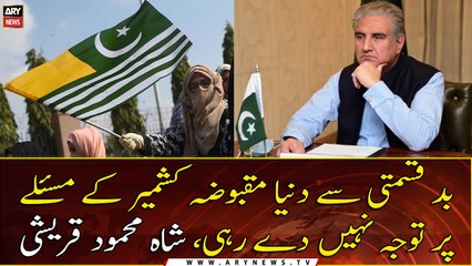 Unfortunately, the world is not paying attention to the issue of occupied Kashmir: Shah Mehmood Qureshi