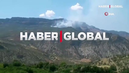 Siirt Pervari'de orman yangını