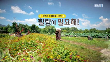다문화 고부열전 - 효부 시어머니는 힐링이 필요해!_#001