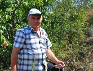 SPİL DAĞI'NA 42 YILDIR AĞAÇ DİKİYOR