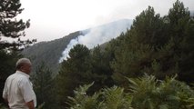 Orman yangınını söndürme çalışmaları devam ediyor