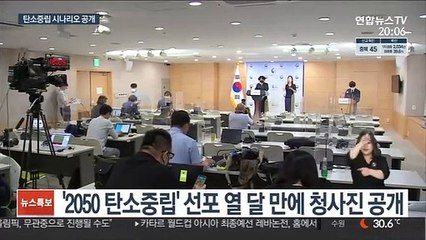 2050년 온실가스 배출 최대 100% 줄인다