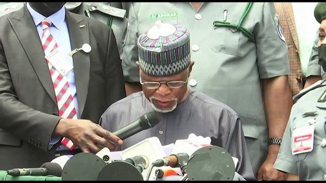 Nigeria seizes record $54 million in pangolin parts, elephants tusks