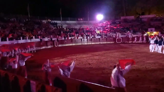 SAINT-VINCENT-DE-TYROSSE. Spectacle Landes Emotions 3