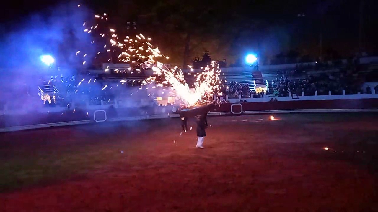 SAINT-VINCENT-DE-TYROSSE. Spectacle Landes Emotions 6