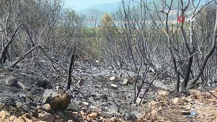 Isparta Sütçüler'deki yangını söndürme çalışmaları 4'üncü gününde devam ediyor