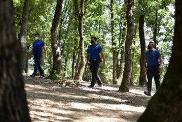 Tuzla'da ormanlık alanlar havadan ve karadan denetleniyor