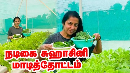நடிகை சுஹாசினி மாடித்தோட்டம் | Actress Suhasini Terrace garden