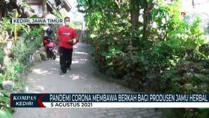 Pandemi Covid-19 Membawa Keuntungan Bagi Produsen Jamu