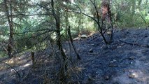 Aydos Ormanı’nda çıkan yangın büyümeden söndürüldü