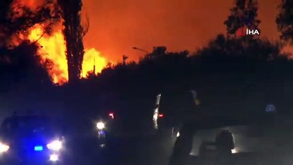 Волонтёры спасают лес в Турции