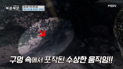 고수의 낚시 비법 대공개(고망낚시)