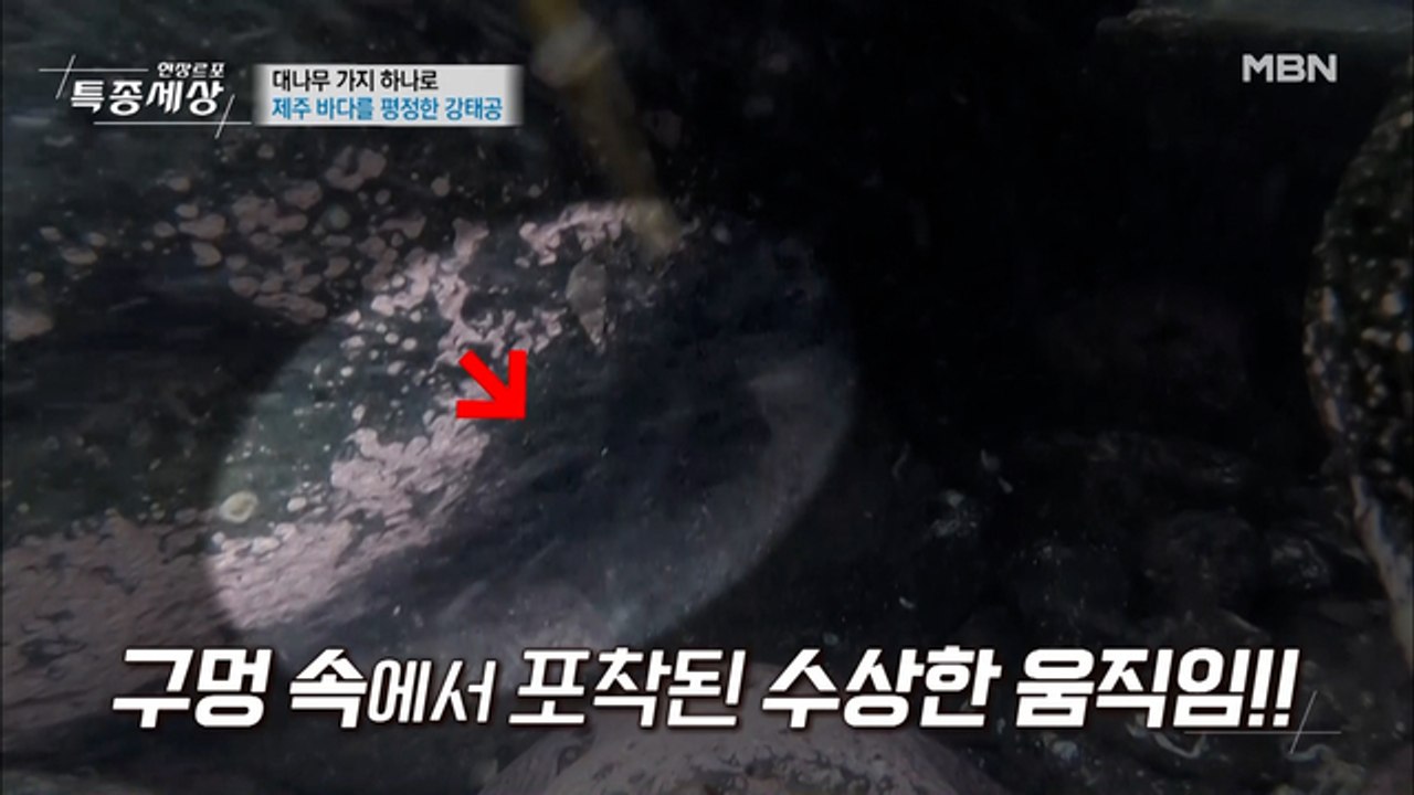 고수의 낚시 비법 대공개(고망낚시)