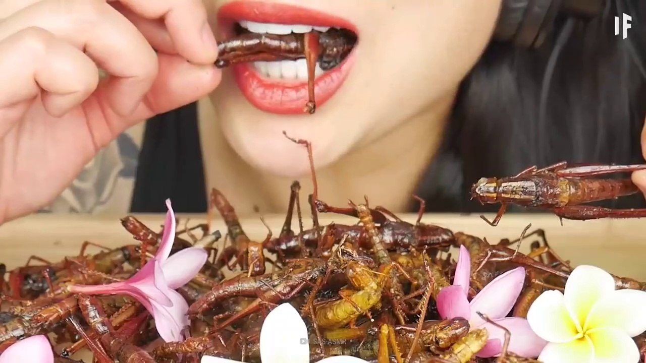 What If You Only Ate Insects for the Rest of Your Life_ # IS IT GOOD OR BAD ? # LETS CHECK IT OUT