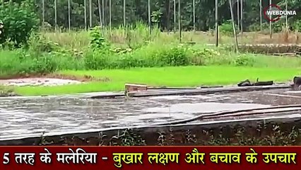 मलेरिया बुखार के लक्षण और बचाव के उपाय