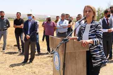 "Tarla Günü" etkinliği düzenlendi