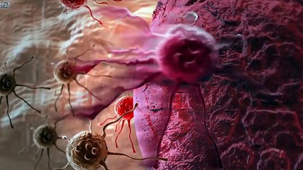 আপনিও কি প্রতিদিন ডিম খান_ সর্বনাশ... Side Effects of Eating Eggs Daily