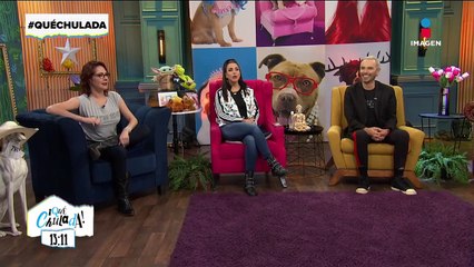 Virales: unas copitas de más