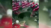 Meksika’da rodeo sırasında boğa seyircilere saldırdı: 10 yaralı