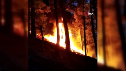 Saimbeyli’de düşen yıldırım 3 kişiyi yaraladı, ormanda yangın çıktı