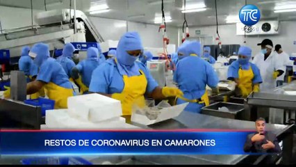 Ecuador no ha paralizado la exportación de camarón