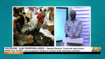 Bird Flu Alert: How prepared is Ghana to contain avian influenza outbreak? - The Big Agenda (5-8-21)