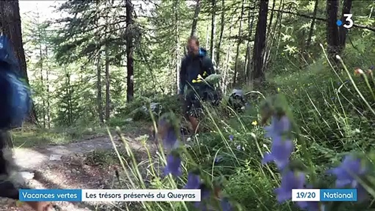 Hautes-Alpes : le parc naturel régional du Queyras attire de plus en plus de randonneurs