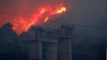 Milas Belediye Başkanı'ndan yeni uyarı: Yangın, Yeniköy Termik Santrali'ne doğru ilerliyor