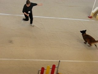 Sylvia vaika degrès 240208