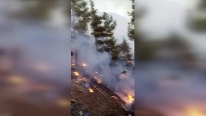 Son dakika haberleri... Adana'da çıkan orman yangınına müdahale ediliyor
